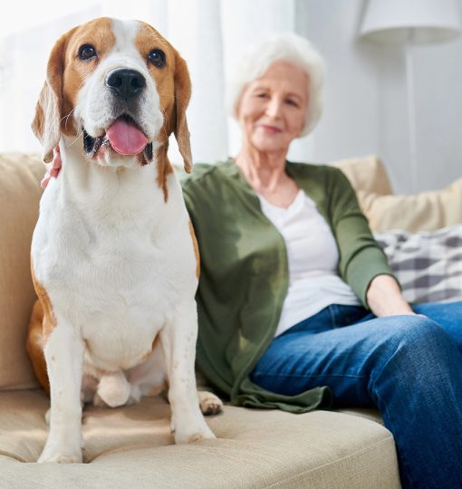 elder woman sitting with dog