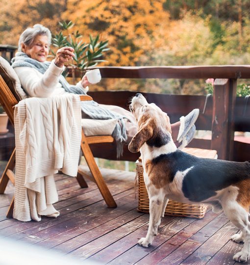 woman on deck with dog woman on deck with dog